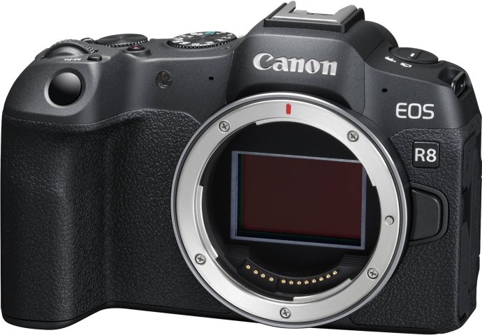 Бездзеркальний фотоапарат Canon EOS R8 body (5803C019)