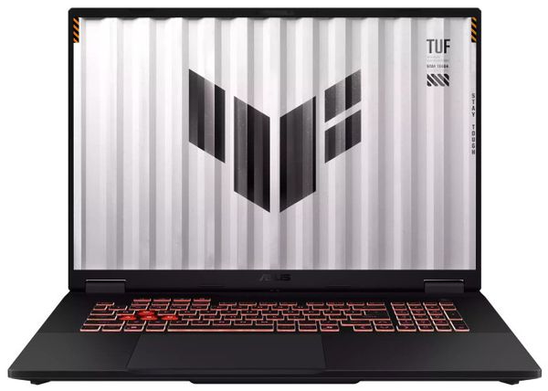 Ноутбук ASUS TUF Gaming A18 2025 FA808UM Gray (FA808UM-I321)