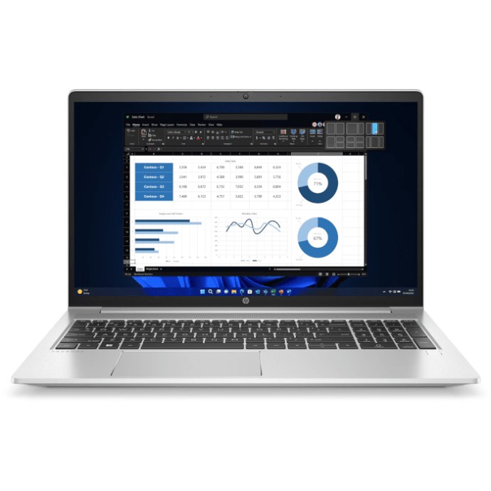 Ноутбук HP ProBook 445 G10 Silver (70Z72AV)