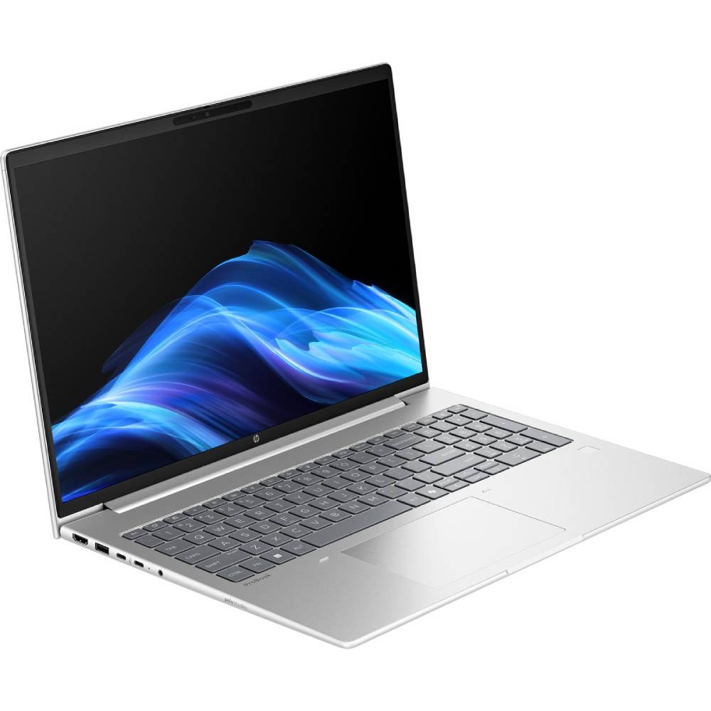 Ноутбук HP ProBook 4 G1a Pike Silver (AX7D3AV_V5)