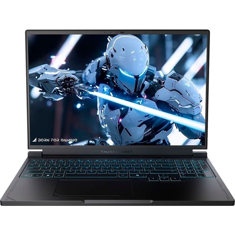 Ноутбук THUNDEROBOT RS16 Black (RS16-i9139HX57C1Q240ARB)