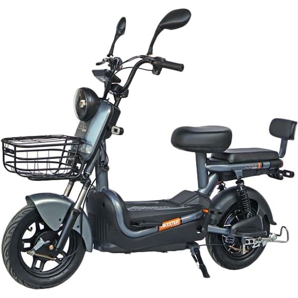 Електроскутер MAXXTER E600 Silver