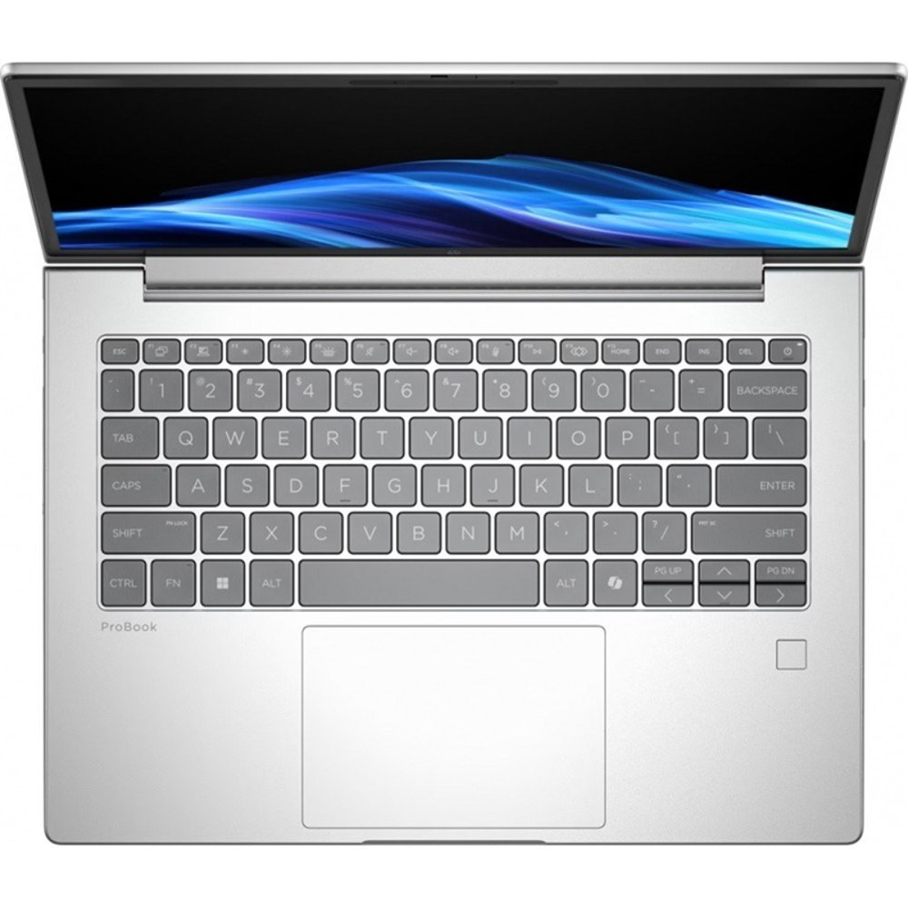 Ноутбук HP ProBook 4 G1a Pike Silver (AX6J0AV_V8)