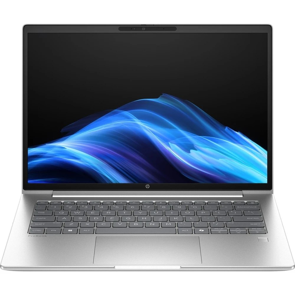 Ноутбук HP ProBook 4 G1i 14 Pike Silver (D0VG6ET)